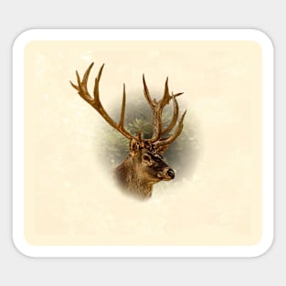 Red deer Sticker